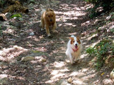 120905_14.jpg