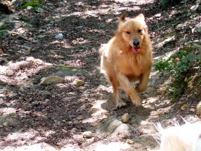 120905_15.jpg