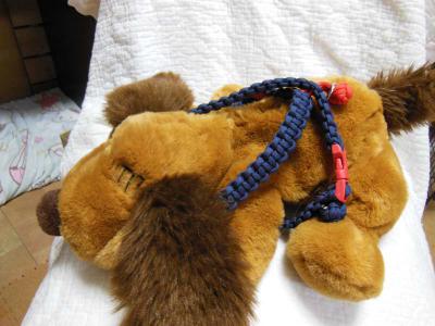 120909_5.jpg