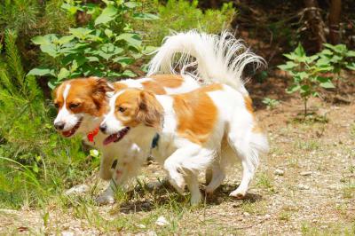 120916_0614_1.jpg