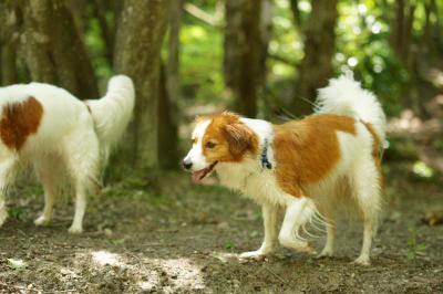 120916_0614_6.jpg