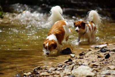 120916_0716_2.jpg