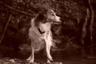 120916_0802_3.jpg