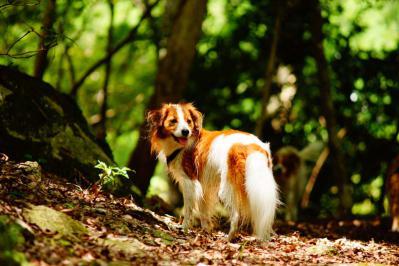 120916_0802_5.jpg