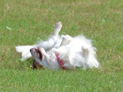 120922_11.jpg