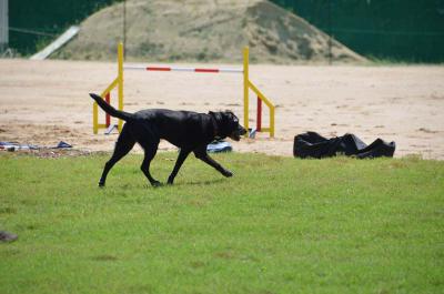 120922_13.jpg
