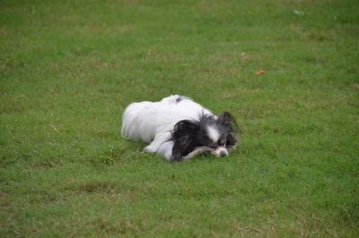 120922_15.jpg