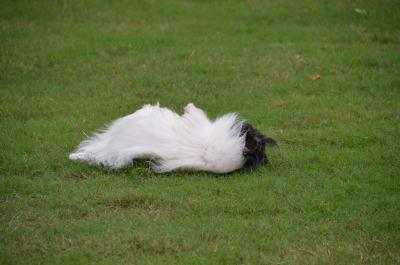 120922_16.jpg
