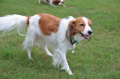 120922_21.jpg