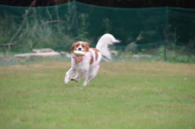 120922_24.jpg