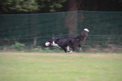 120922_26.jpg