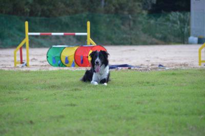 120922_3.jpg