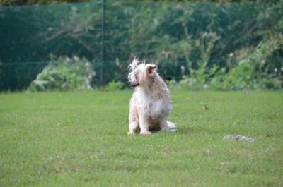 120922_5.jpg