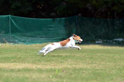 121020_10.jpg