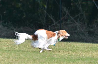 121020_11.jpg