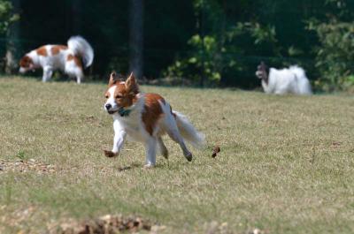 121020_13.jpg