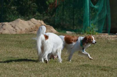 121020_1.jpg
