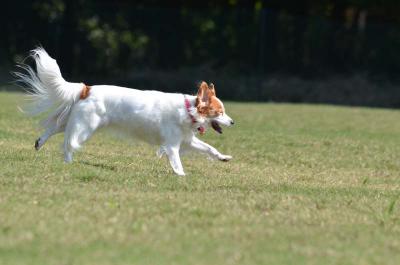 121020_9.jpg