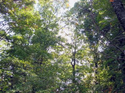 121029_17.jpg