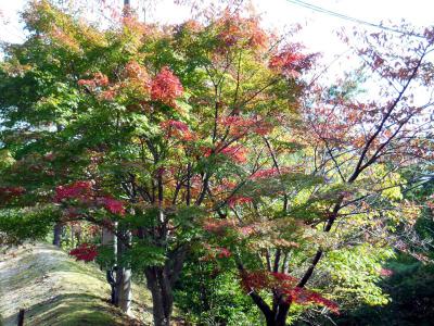 121029_18.jpg