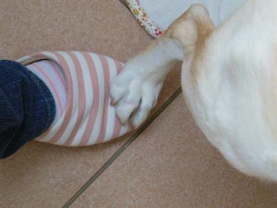 121101_4.jpg