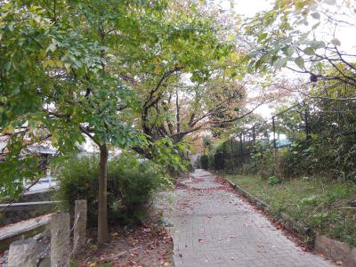 121103_5.jpg