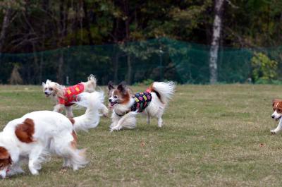 121104_12.jpg