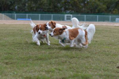 121104_1.jpg