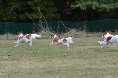 121104_5.jpg