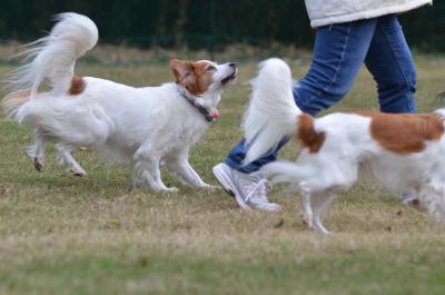 121104_6.jpg