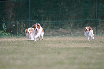 121104_8.jpg
