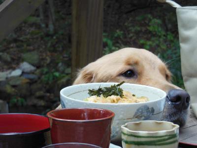 121107_15.jpg