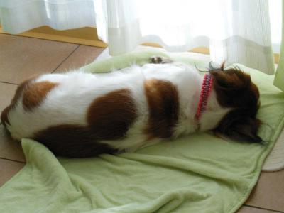121108_6.jpg