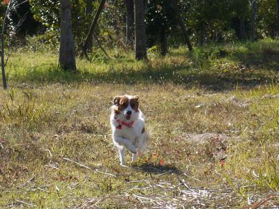 121116_5.jpg