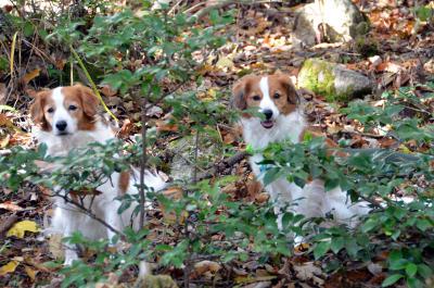 121125_10.jpg