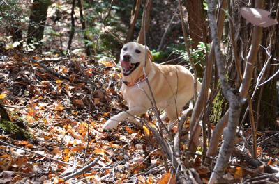 121125_24.jpg