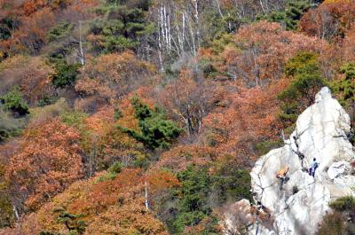 121125_26.jpg