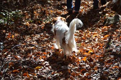 121125_3.jpg