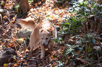 121125_8.jpg