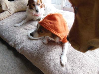 121207_9.jpg
