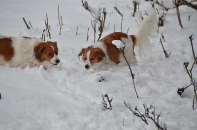 121224_11.jpg