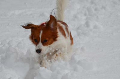 121224_15.jpg