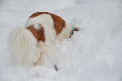 121224_18.jpg