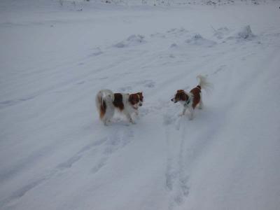130105_2.jpg