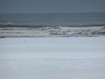130105_3.jpg