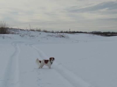 130105_5.jpg