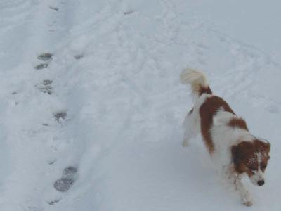 130105_6.jpg