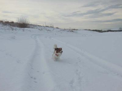 130105_7.jpg