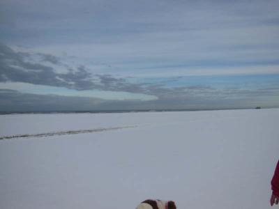 130105_8.jpg