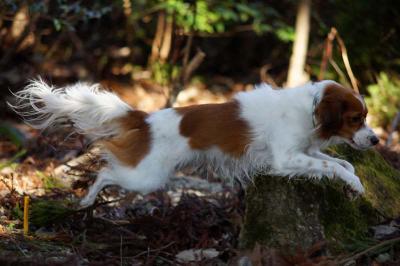 20120127_1.jpg